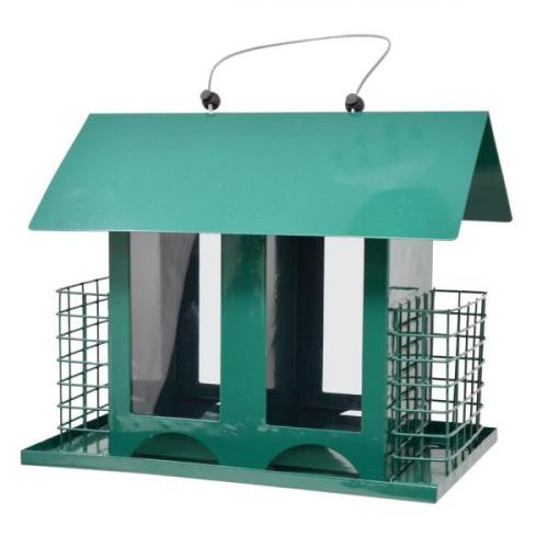 Double Option Suet & Seed Feeder