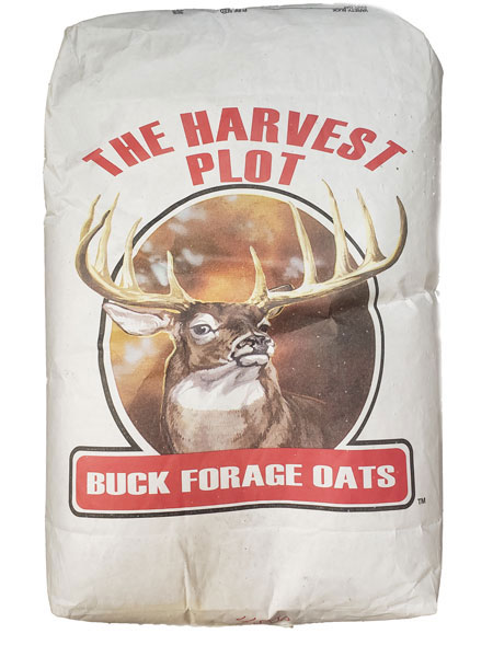 Buck Forage Oats 50#